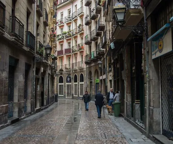 Daire Casco Viejo Comodidad Y Elegancia